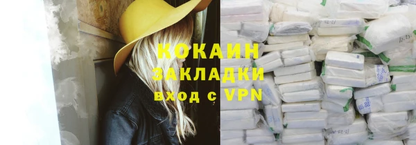 стаф Алзамай