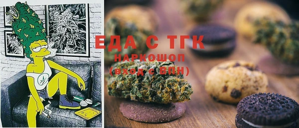 стаф Алзамай